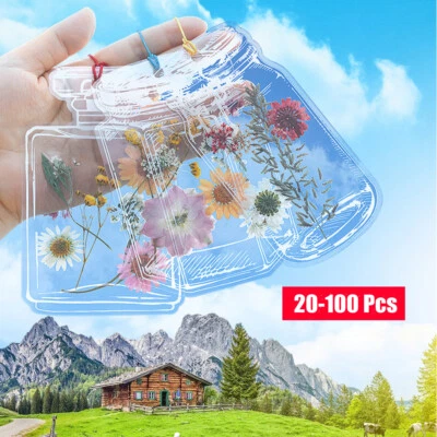 20-100Pcs Transparent Dried Flower Bookmarks Beautiful DIY Dried Flower Stickers