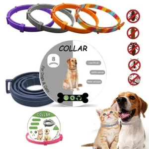 8 Month Protection Flea and Tick Collar Anti-mosquitoes Pet Supplies Teddy - Picture 1 of 18