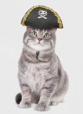 Cat Pirate Hat Halloween Costume by Hyde & EEK - Image 1 of 3