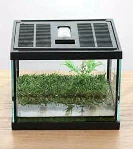 Crapelles Pac Ranas Vidrio Terrario Kit de Alimentación Tanque, Impermeable, para Anfi Pequeño - Imagen 1 de 8