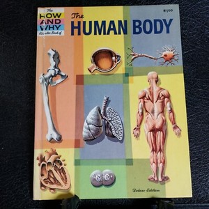 How And Why Wonder Book Of The Human Body-1961-Deluxe Ed-HC-Keen/Sweet-NOS