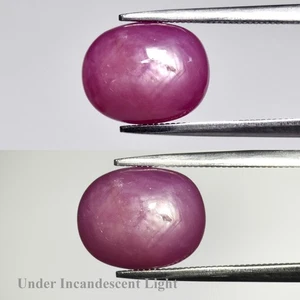 π 6.84ct Oval Natural Purplish Red 6 Ray Star Ruby - Heated Glass Filling, Gem - Picture 1 of 6