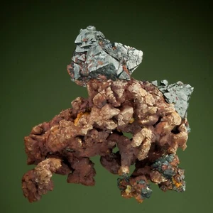 Cuprita con plata sobre cobre mina Rubtsovskoe, Rudnyi Altai, Rusia 1121-0001 - Imagen 1 de 5