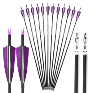 6/12 Archery Carbon Arrows 30" SP500 Feathers Tips Recurve Compound Bow Hunting - Picture 1 of 34