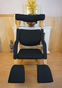 VARIER GRAVITY BALANS SILLÓN RELAX SILLÓN RELAX SILLA DE SALUD ¡NEGRO! - Imagen 1 de 8
