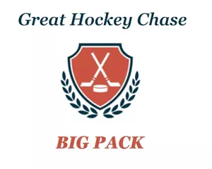 GREAT HOCKEY CHASE 💥 BIG PACK 💥 Graded + MYSTERY Hits 💥 400+ sold BEST Value! - Bild 1 von 4