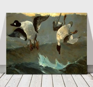 WINSLOW HOMER - Right and Left - CANVAS ART PRINT POSTER - Ducks Birds 24x18" - Picture 1 of 1