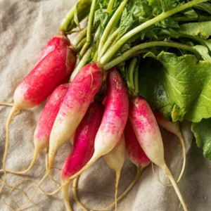 500 Hong Vit Radish Seeds - Asian Heirloom - Premium Non-GMO, Open Pollinated - Picture 1 of 2