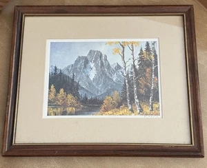 KEITH FAY AUTUMN BIRCHES & MOUNTAIN FRAMED ART PRINT - Picture 1 of 4
