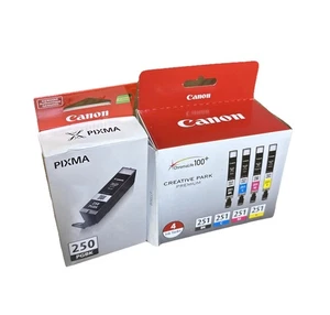 5 Stück Original Canon PGI-250/CLI-251 Tinte MG6320 MG7120 iP8720 iX6820 - Bild 1 von 3