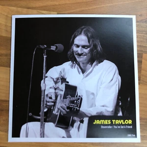 James Taylor You've Got A Friend / Steamro 45 7" Vinyl Schallplatte mit einzigartiger Hülle - Bild 1 von 8