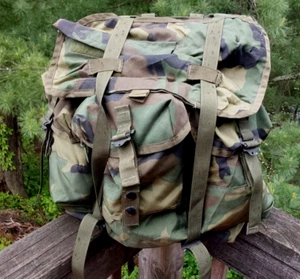Estuche de Transporte de Radio ALICE - Paquete de Campo de Combate con Correas - WOODLAND Nuevo Stock Antiguo - Imagen 1 de 19