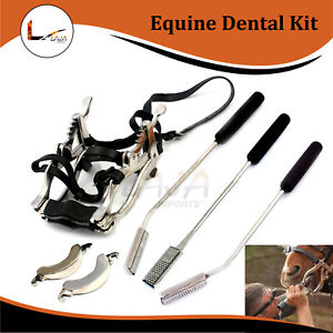 Equine Dental Speculum Leather Straps, With Set of 3 Float Rasp Down Up Straight