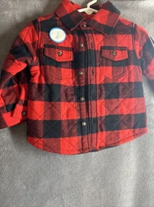 Carter’s Baby Buffalo Plaid Button Shirt 12m Lined NWT - Picture 1 of 7