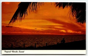 Postcard Tropical Florida Sunset Beach Palm Trees FL UNP Chrome - Picture 1 of 2