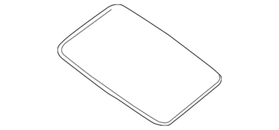 正品日产 2007 - 2015 Titan Armada Sunroof Weatherstrip 73967-7S01A — 第 1/3 张图片