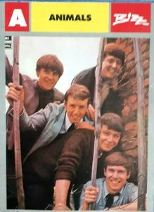 ANIMALS MINI CARD BRAZIL BIOGRAPHY DISCOGRAPHY NICE PICTURE RARE - Picture 1 of 2