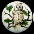 Ceramic Button...Snowy Owl...1&3/4", Extra Large