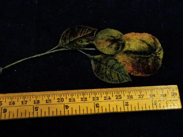 Винтажный Millinery цветок фрукты все бархат зеленый коричневый для шляпы свадьбы или волос H3 - Изображение 1 из 1