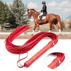 Get the Perfect Shot While For Horse Riding with this High Quality Black Whip