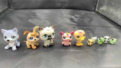 Littlest Pet Shop - Lote de 10 figuras LPS Hasbro Foto 1 de 4