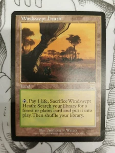 MTG - Onslaught - Windswept Heath - English - Picture 1 of 2