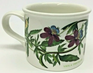 Portmeirion Botanic Garden Heartsease Viola Tricolor Blumen Schmetterling Becher Tasse - Bild 1 von 7