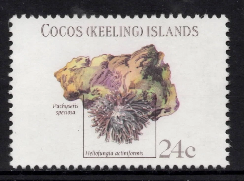 COCOS (keeling) ISLAS 1981 150º ANNIV OF CHARLES DARWIN'S VOYAGE 24c SELLO EN MUY BUEN ESTADO Foto 1 de 1