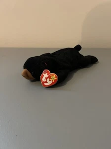 Ty Beanie Baby Blackie der Bär Plüschtier - Bild 1 von 1