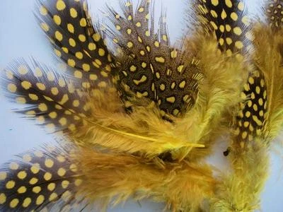 Pluma de punto de guinea teñida de 40 (4 gramos) tamaño surtido/artesanía/decoración/ajuste color V4 Foto 1 de 4