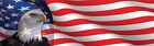 EAGLE USA FLAG FREEDOM HELMET STICKER LAPTOP STICKER TOOLBOX STICKER HARD HAT 