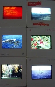 6 Original Vintage 35mm Kodak Photo Color Slide Nature Kodachrome Transparency - Picture 1 of 9