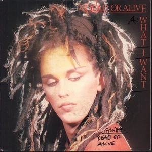 Dead Or Alive What I Want 7" vinyl Netherlands Epic 1983 Pic sleeve has writing - Picture 1 of 3