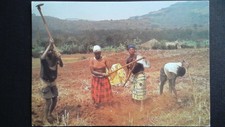 CPM Ruanda Landbouwersbewerken
