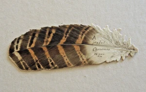 c1896 SHAPED LIKE AN OWL FEATHER VICTORIAN CHRISTMAS GREETING CARD #4 - Picture 1 of 3