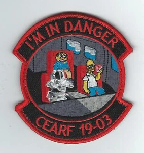 23rd FTS CEARF CLASS 19-03 "I"M IN DANGER" patch - Picture 1 of 1