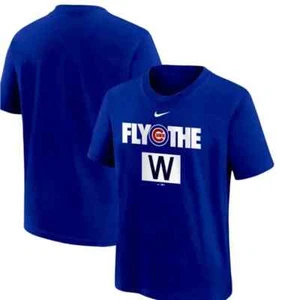 Chicago cubs nike shirt large !! - Picture 1 of 1