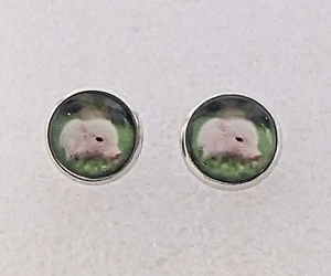 Pig Baby Piglet Adorable Small Round Silver Alloy Post Stud Earrings Jewelry - Picture 1 of 3