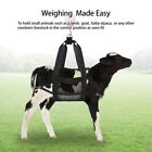 Animals Weighing Strap Weight Scale Sling Weighing Sling Livestock Hang Scale