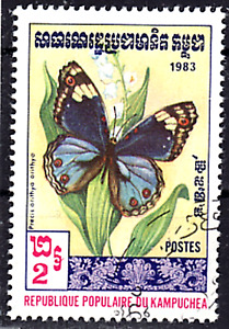 Südostasien Kambodscha Jahrgang 1983 Schmetterlinge Blue Pansy  Mi 467 gestempel