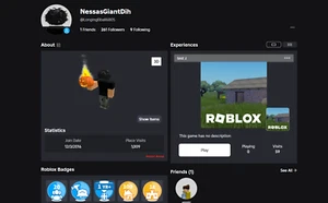ROBLOX & HEADLESS ACCOUNT, 2016 STACKED ACCOUNT WITH LIMITEDS, DM - Picture 1 of 1