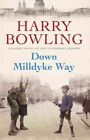 Down Milldyke Way A touching saga of heartbreak, grit and emotion 9780755340439