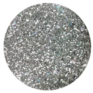 100g GRUESO 040” 1mm HOLOGRÁFICO PLATA BRILLO PARA PAREDES PINTURA ADITIVO/ARTESANÍA - Imagen 1 de 1