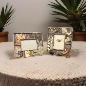 African Animal Picture Frames Lion, Zebra, Elephant, Giraffe Etc - 2 - Picture 1 of 14