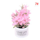 1Pc 1:12 Dollhouse Mini Iron Potted Plant Pot Lavender Plant Home Garden Dec-*-