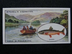 No.23 CHAR FISHING LAKE WINDERMERE Angling REPRO of Stephen Mitchell & Son 1928 - Picture 1 of 1