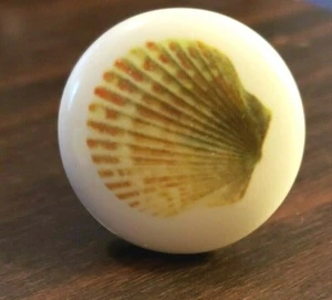 Cabinet / Drawer Knob 1½" diameter White Porcelain with Yellow Clam Seashell - Picture 1 of 6
