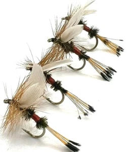 4, 6 or 8 Trout Grayling Fly Fishing DRY Flies ROYAL COACHMAN BARBED or BARBLESS - Picture 1 of 1