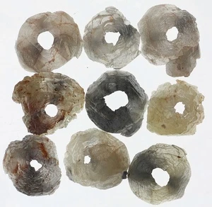 8 pcs 2.88 Ctw Drilled Curve Rough Diamond – Loose Raw Natural Stone - Picture 1 of 2