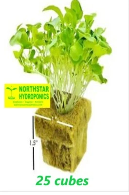 25) GRODAN ROCKWOOL 1"X1" CUBO DE ARRANQUE MEDIOS HIDROPÓNICOS Foto 1 de 4